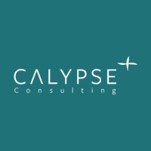 Calypse Consulting