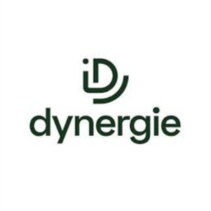 Dynergie Group